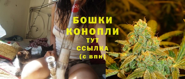 Альфа ПВП Дмитриев