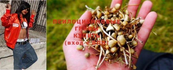 индика Верхний Тагил