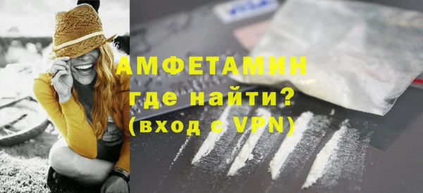 индика Бронницы